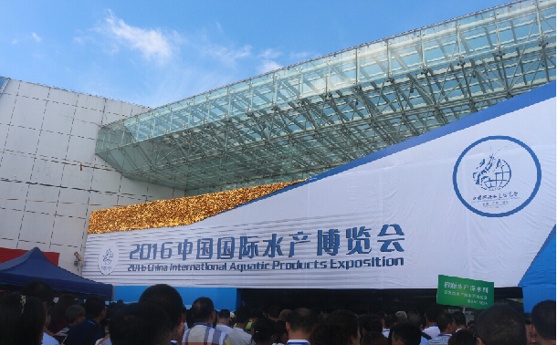 1466351816802628.jpg 2.jpg