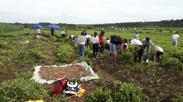 微信圖片_20180716104041.jpg