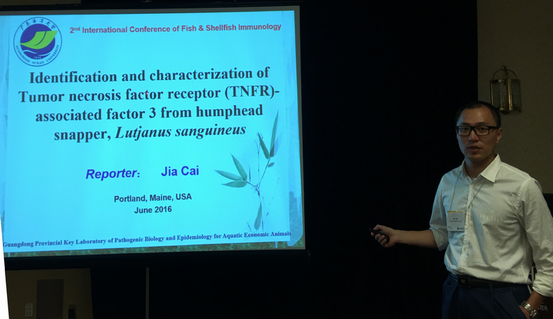 1467620634448089.png 1467620634448089.png